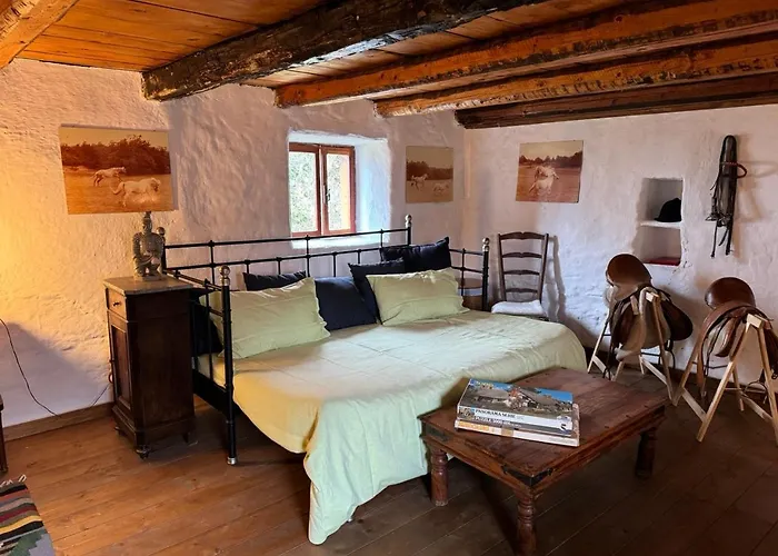 Cascina Pian Dei Grilli, Un Paradiso Nel Parco Delle Capanne Di Marcarolo * Casaleggio Boiro